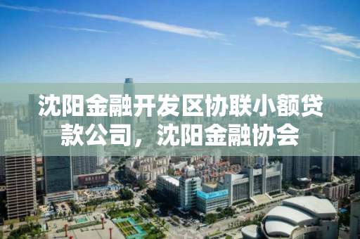 沈阳金融开发区协联小额贷款公司，沈阳金融协会