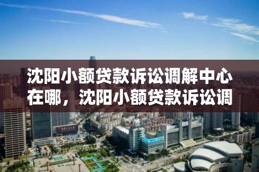 沈阳小额贷款诉讼调解中心在哪，沈阳小额贷款诉讼调解中心在哪里