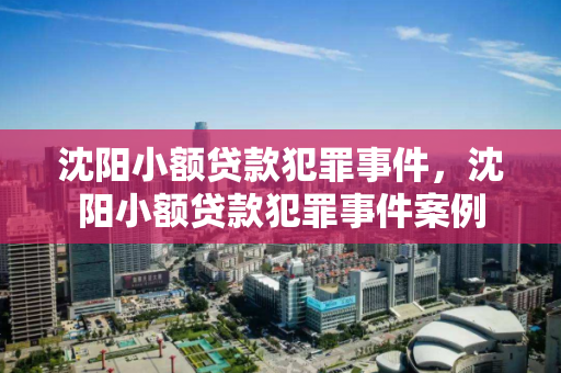 沈阳小额贷款犯罪事件，沈阳小额贷款犯罪事件案例