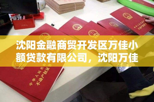 沈阳金融商贸开发区万佳小额贷款有限公司,沈阳万佳超市 沈阳金融商贸开发区万佳小额贷款有限公司,沈阳万佳超市