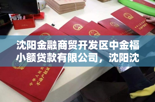 沈阳金融商贸开发区中金福小额贷款有限公司,沈阳沈抚中金 沈阳金融商贸开发区中金福小额贷款有限公司,沈阳沈抚中金