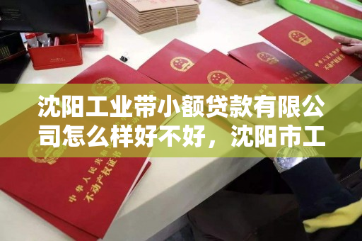 沈阳工业带小额贷款有限公司怎么样好不好,沈阳市工业公司 沈阳工业带小额贷款有限公司怎么样好不好,沈阳市工业公司