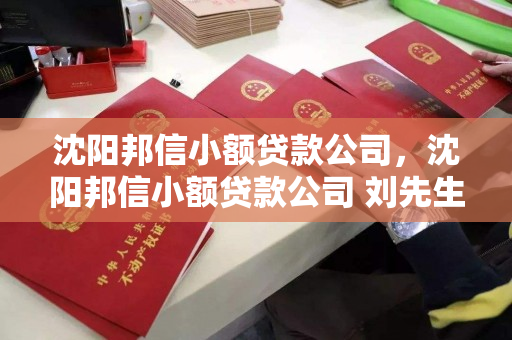 沈阳邦信小额贷款公司,沈阳邦信小额贷款公司 刘先生 沈阳邦信小额贷款公司,沈阳邦信小额贷款公司 刘先生