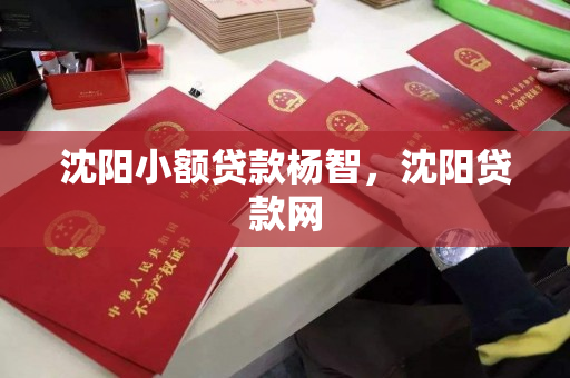 沈阳小额贷款杨智，沈阳贷款网