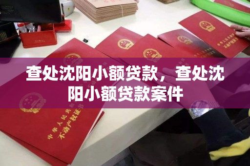 查处沈阳小额贷款,查处沈阳小额贷款案件 查处沈阳小额贷款,查处沈阳小额贷款案件