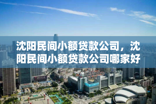 沈阳民间小额贷款公司,沈阳民间小额贷款公司哪家好 沈阳民间小额贷款公司,沈阳民间小额贷款公司哪家好