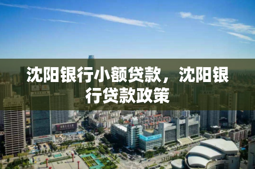 沈阳银行小额贷款，沈阳银行贷款政策