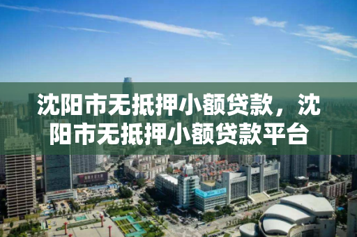 沈阳市无抵押小额贷款,沈阳市无抵押小额贷款平台 沈阳市无抵押小额贷款,沈阳市无抵押小额贷款平台