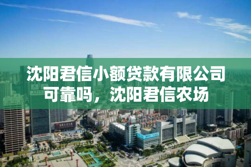 沈阳君信小额贷款有限公司可靠吗，沈阳君信农场