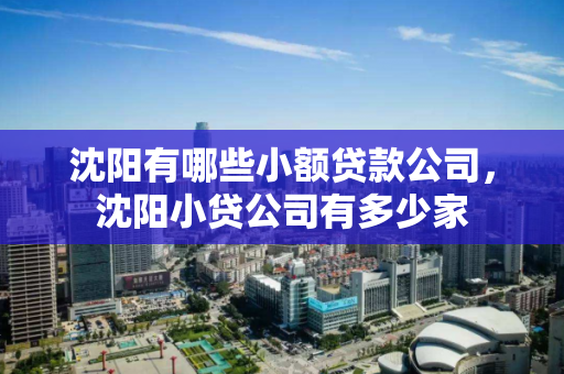 沈阳有哪些小额贷款公司,沈阳小贷公司有多少家 沈阳有哪些小额贷款公司,沈阳小贷公司有多少家