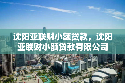 沈阳亚联财小额贷款，沈阳亚联财小额贷款有限公司
