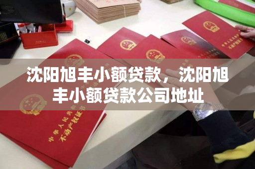 沈阳旭丰小额贷款，沈阳旭丰小额贷款公司地址