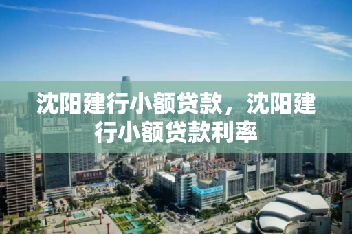 沈阳建行小额贷款,沈阳建行小额贷款利率 沈阳建行小额贷款,沈阳建行小额贷款利率