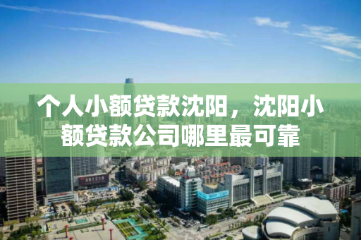 个人小额贷款沈阳,沈阳小额贷款公司哪里最可靠 个人小额贷款沈阳,沈阳小额贷款公司哪里最可靠