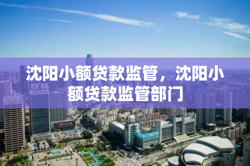 沈阳小额贷款监管,沈阳小额贷款监管部门 沈阳小额贷款监管,沈阳小额贷款监管部门