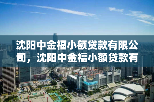 沈阳中金福小额贷款有限公司,沈阳中金福小额贷款有限公司怎么样 沈阳中金福小额贷款有限公司,沈阳中金福小额贷款有限公司怎么样