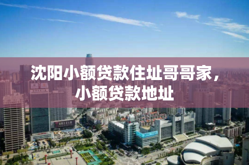 沈阳小额贷款住址哥哥家，小额贷款地址