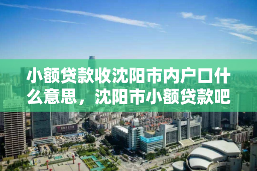 小额贷款收沈阳市内户口什么意思,沈阳市小额贷款吧 小额贷款收沈阳市内户口什么意思,沈阳市小额贷款吧