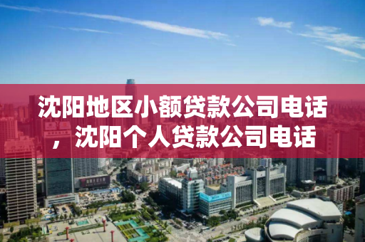 沈阳地区小额贷款公司电话，沈阳个人贷款公司电话