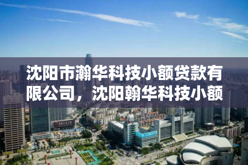 沈阳市瀚华科技小额贷款有限公司，沈阳翰华科技小额贷款有限公司