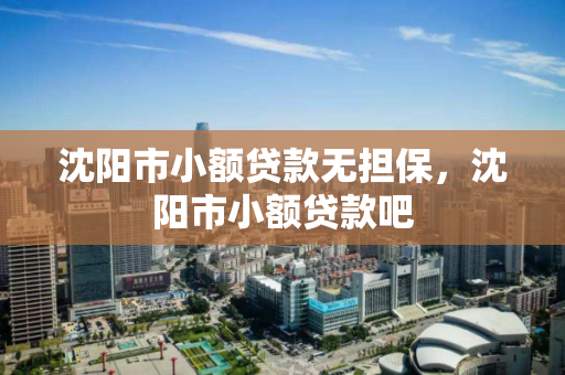 沈阳市小额贷款无担保,沈阳市小额贷款吧 沈阳市小额贷款无担保,沈阳市小额贷款吧
