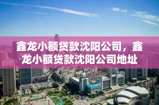 鑫龙小额贷款沈阳公司,鑫龙小额贷款沈阳公司地址 鑫龙小额贷款沈阳公司,鑫龙小额贷款沈阳公司地址