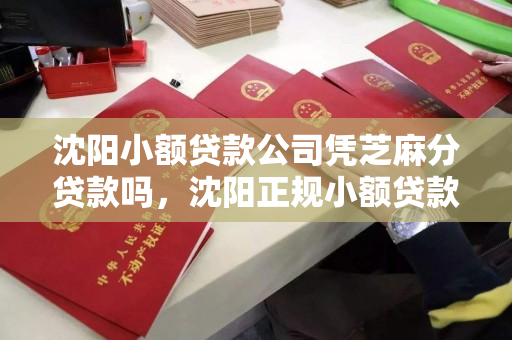 沈阳小额贷款公司凭芝麻分贷款吗，沈阳正规小额贷款