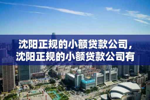 沈阳正规的小额贷款公司，沈阳正规的小额贷款公司有哪些