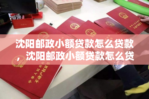 沈阳邮政小额贷款怎么贷款，沈阳邮政小额贷款怎么贷款的