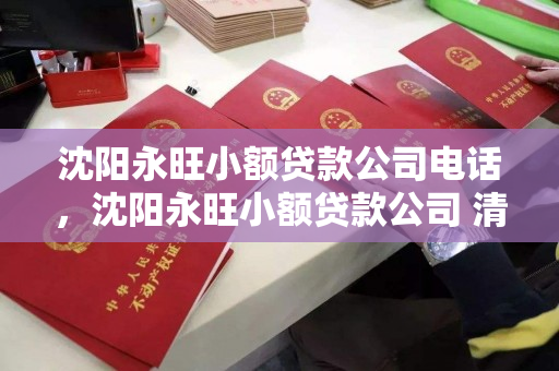 沈阳永旺小额贷款公司电话，沈阳永旺小额贷款公司 清算