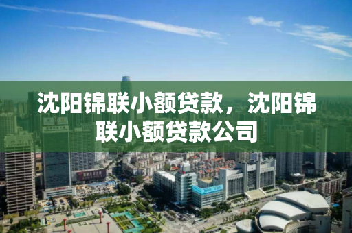 沈阳锦联小额贷款，沈阳锦联小额贷款公司