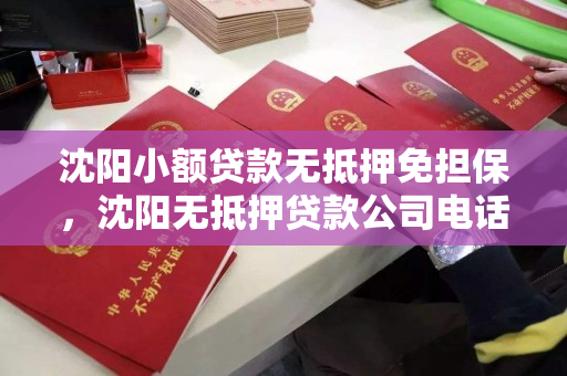 沈阳小额贷款无抵押免担保，沈阳无抵押贷款公司电话