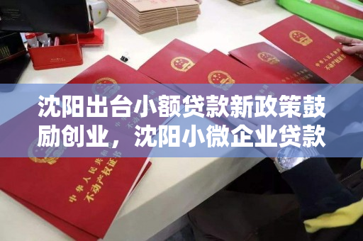 沈阳出台小额贷款新政策鼓励创业,沈阳小微企业贷款优惠政策 沈阳出台小额贷款新政策鼓励创业,沈阳小微企业贷款优惠政策