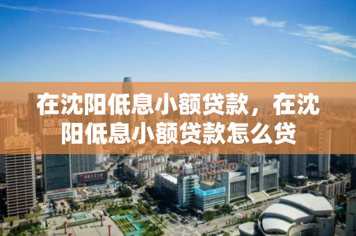 在沈阳低息小额贷款,在沈阳低息小额贷款怎么贷 在沈阳低息小额贷款,在沈阳低息小额贷款怎么贷
