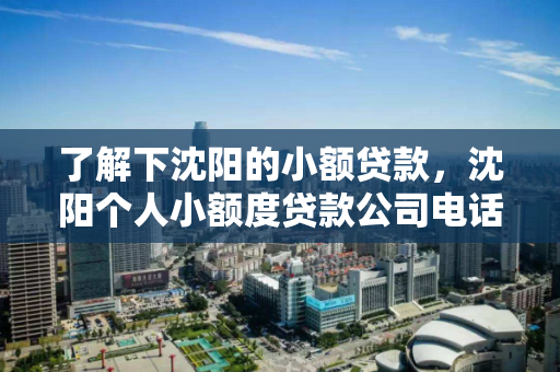 了解下沈阳的小额贷款,沈阳个人小额度贷款公司电话 了解下沈阳的小额贷款,沈阳个人小额度贷款公司电话