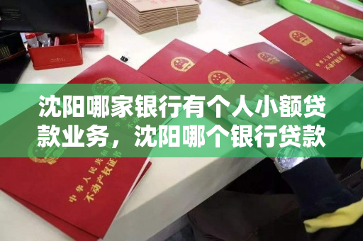 沈阳哪家银行有个人小额贷款业务,沈阳哪个银行贷款好贷 沈阳哪家银行有个人小额贷款业务,沈阳哪个银行贷款好贷