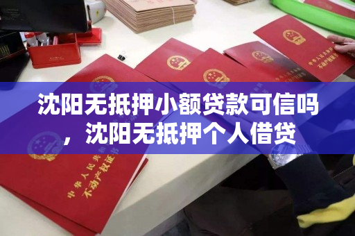 沈阳无抵押小额贷款可信吗，沈阳无抵押个人借贷