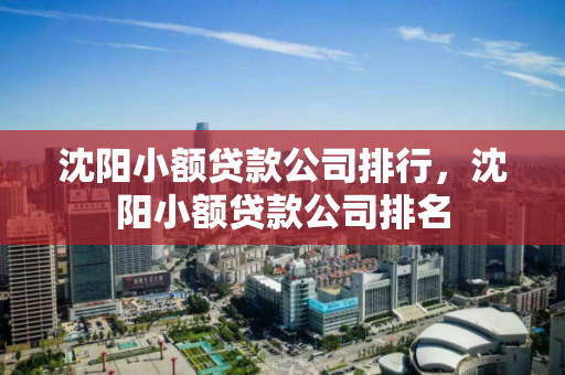 沈阳小额贷款公司排行，沈阳小额贷款公司排名
