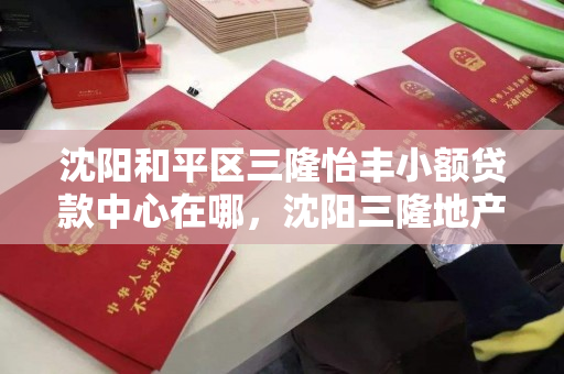 沈阳和平区三隆怡丰小额贷款中心在哪，沈阳三隆地产