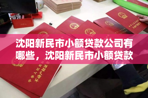 沈阳新民市小额贷款公司有哪些，沈阳新民市小额贷款公司有哪些公司