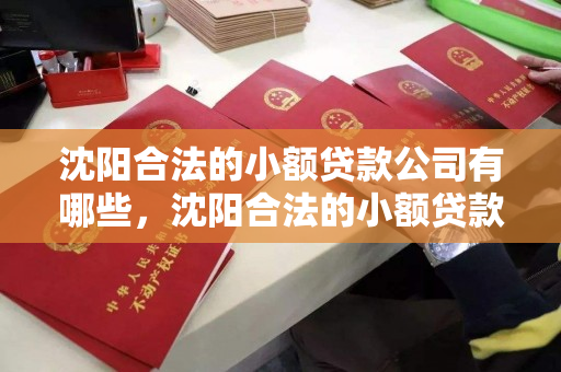 沈阳合法的小额贷款公司有哪些,沈阳合法的小额贷款公司有哪些公司 沈阳合法的小额贷款公司有哪些,沈阳合法的小额贷款公司有哪些公司
