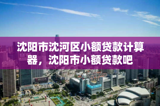 沈阳市沈河区小额贷款计算器，沈阳市小额贷款吧