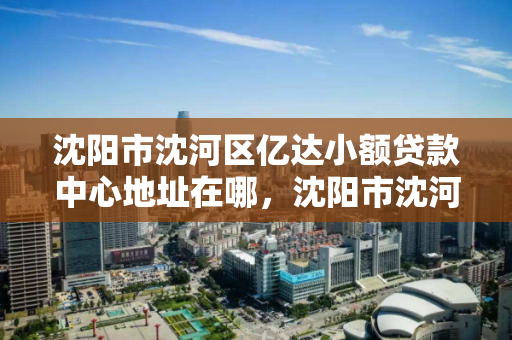 沈阳市沈河区亿达小额贷款中心地址在哪,沈阳市沈河区亿达小额贷款中心地址在哪儿 沈阳市沈河区亿达小额贷款中心地址在哪,沈阳市沈河区亿达小额贷款中心地址在哪儿