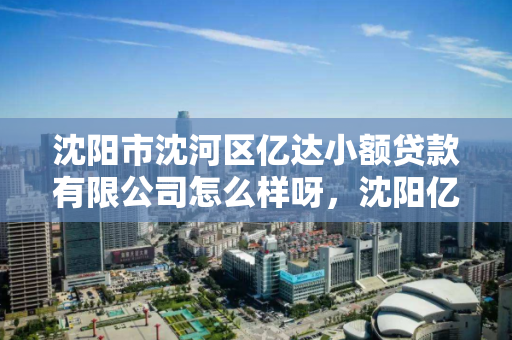 沈阳市沈河区亿达小额贷款有限公司怎么样呀，沈阳亿达酒店地址