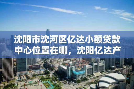 沈阳市沈河区亿达小额贷款中心位置在哪,沈阳亿达产业园 沈阳市沈河区亿达小额贷款中心位置在哪,沈阳亿达产业园