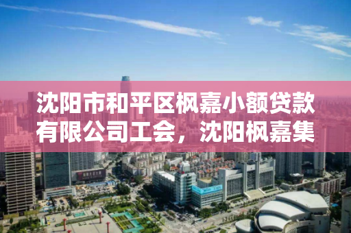 沈阳市和平区枫嘉小额贷款有限公司工会，沈阳枫嘉集团