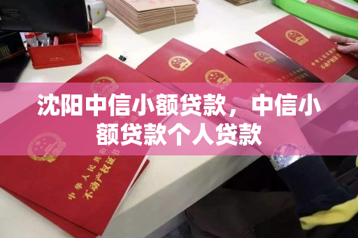 沈阳中信小额贷款，中信小额贷款个人贷款