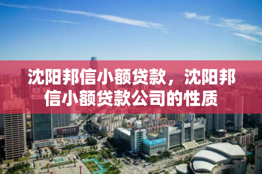 沈阳邦信小额贷款,沈阳邦信小额贷款公司的性质 沈阳邦信小额贷款,沈阳邦信小额贷款公司的性质