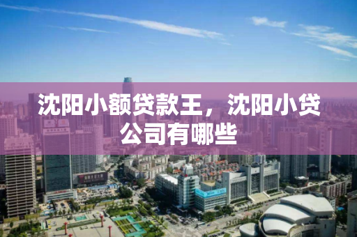 沈阳小额贷款王,沈阳小贷公司有哪些 沈阳小额贷款王,沈阳小贷公司有哪些