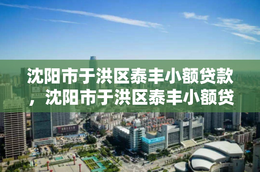 沈阳市于洪区泰丰小额贷款，沈阳市于洪区泰丰小额贷款公司